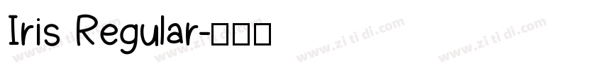 Iris Regular字体转换